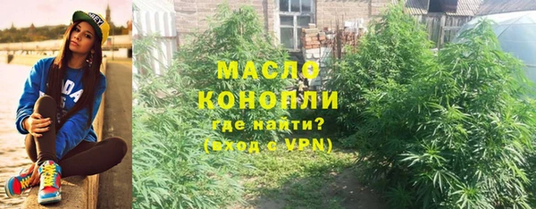 молекула духа Надым