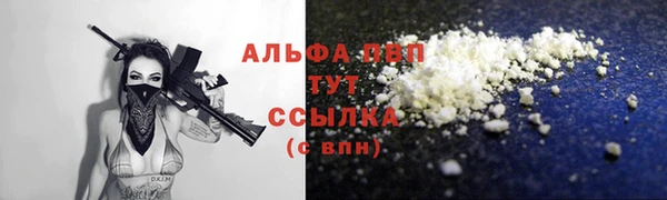 молекула духа Надым