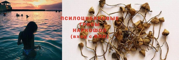молекула духа Надым