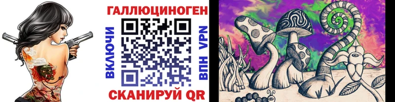 Псилоцибиновые грибы Psilocybe  Купить где  Приволжск 